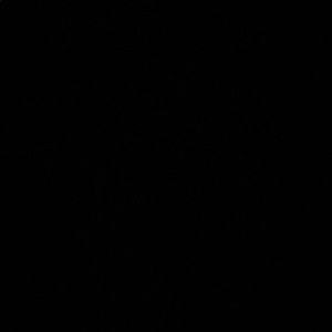 Meet your Posher, Jesse